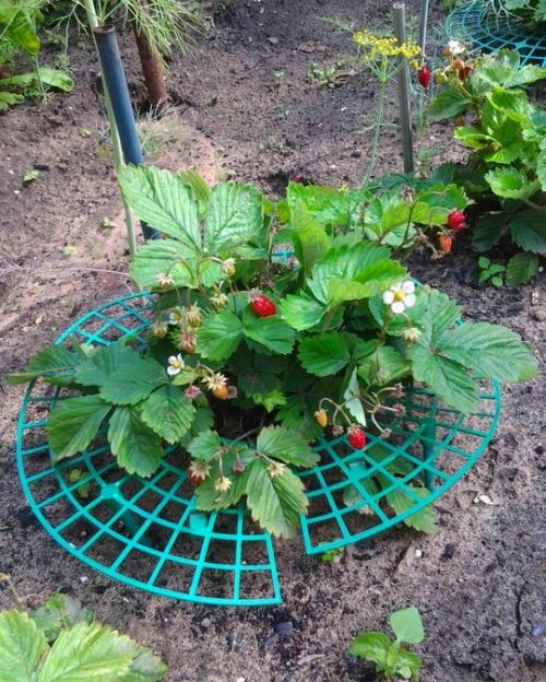 Готовимся к следующему дачному сезону. 02