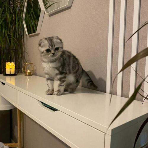 Даже из маленьких помещений можно выжать максимум. 04