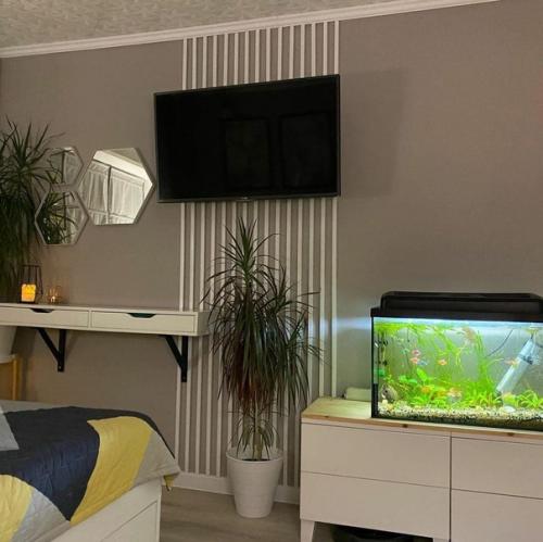 Даже из маленьких помещений можно выжать максимум. 03