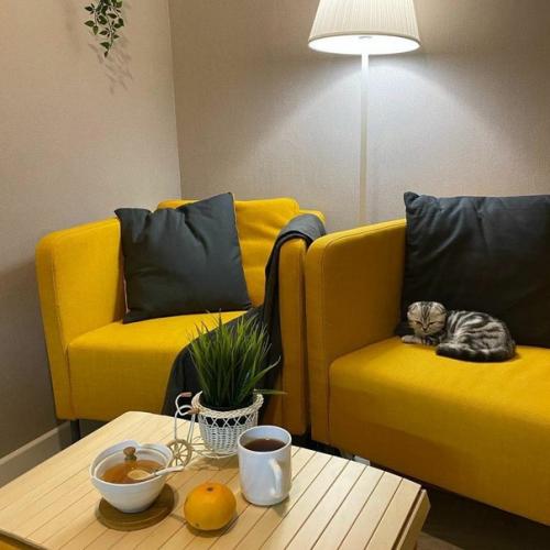 Даже из маленьких помещений можно выжать максимум. 07