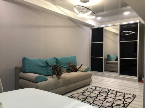 Так и быть, и я похвастаюсь своими листочкам, глянцевыми потолками и черной кухней. 02