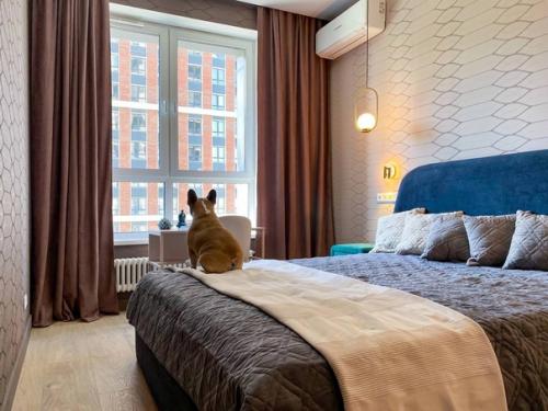 Яркие цвета в интерьер. 03