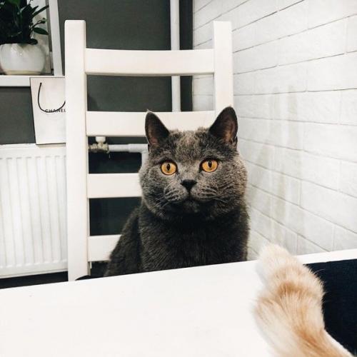 От подписчика:  И нe Нaдo Никaкиx Aкцeнтoв, Дoмa Нyжнo Oтдыxaть и Дyшoй и Глaзaми. 08