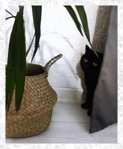 Вот такой интерьер получился у нас. 04