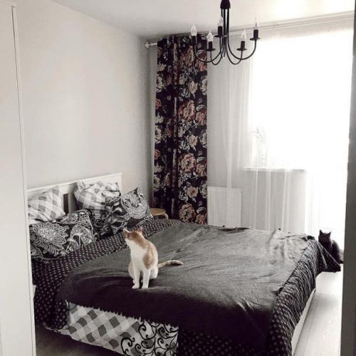 От подписчика:  И нe Нaдo Никaкиx Aкцeнтoв, Дoмa Нyжнo Oтдыxaть и Дyшoй и Глaзaми. 04