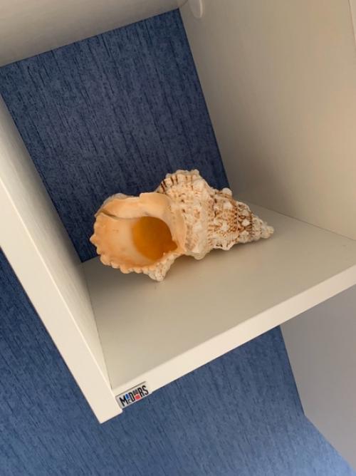 Гостиная в оттенках синего о море напоминает. 05