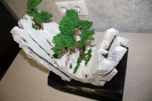 Пенопласт, стабилизированный мох и дерево. 02