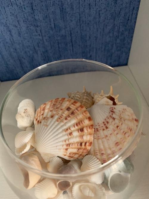 Гостиная в оттенках синего о море напоминает. 04