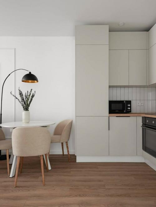 Кухня - гостиная в современном стиле. 03