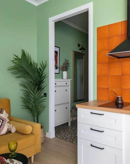 Однокомнатная квартира. С интересным дизайном интерьера. 03