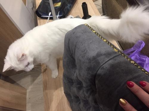 Это был мой первый опыт по переделке старой мебели. 06