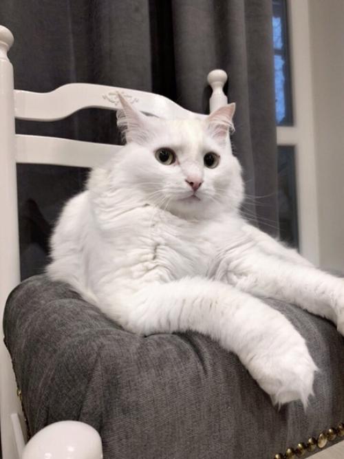 Это был мой первый опыт по переделке старой мебели. 08