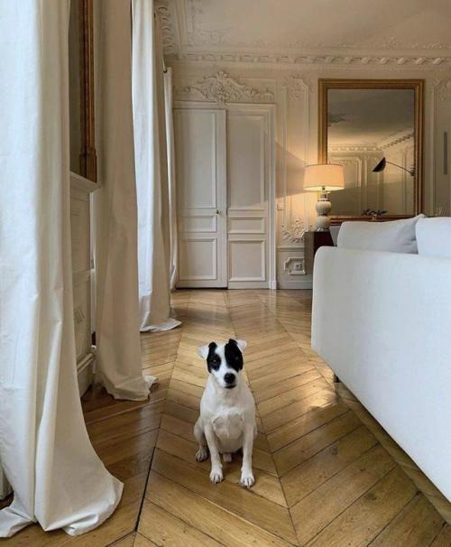 Французская эстетика.  Этот интерьер - про лёгкость, утончённость и чувство меры. 05