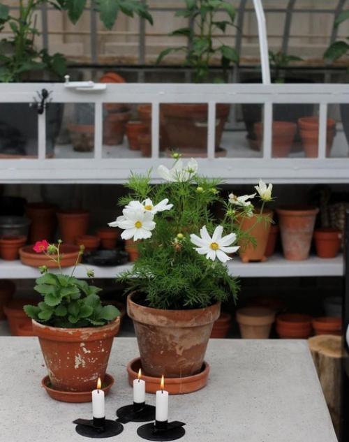 Есть люди у которых даже теплица выглядит. 02