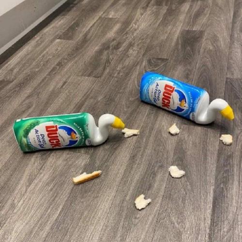 Шел очередной день самоизоляции. 05