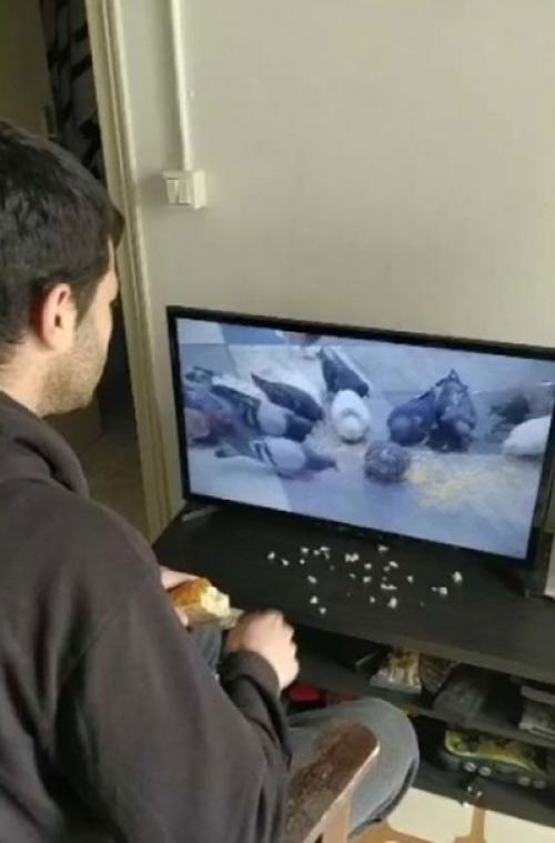 Шел очередной день самоизоляции. 04