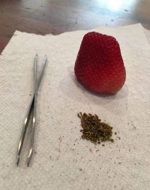 Шел очередной день самоизоляции. 03