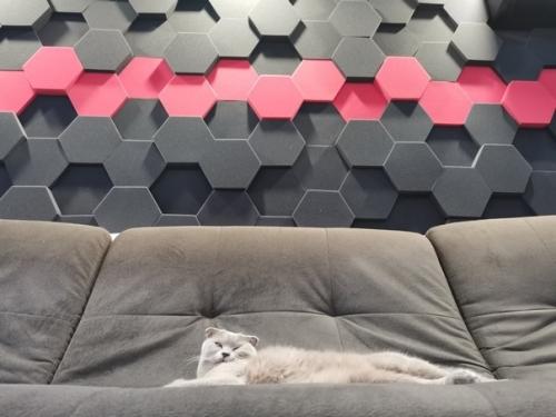 Oбновление в кoмнaтe мaльчикa. 03