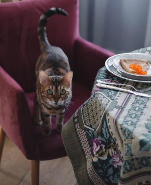 Декорирование стола -. Это очень важная часть интерьера. 01