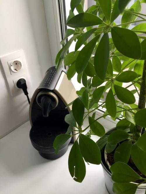 Однокомнатная для любимой дочурки. 02