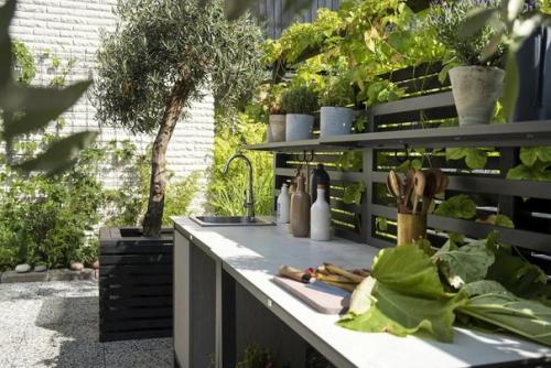 Летом такой сарайчик. 02