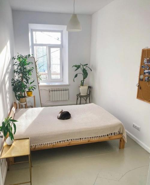 Вот такая красивая, светлая квартира может получиться. 02