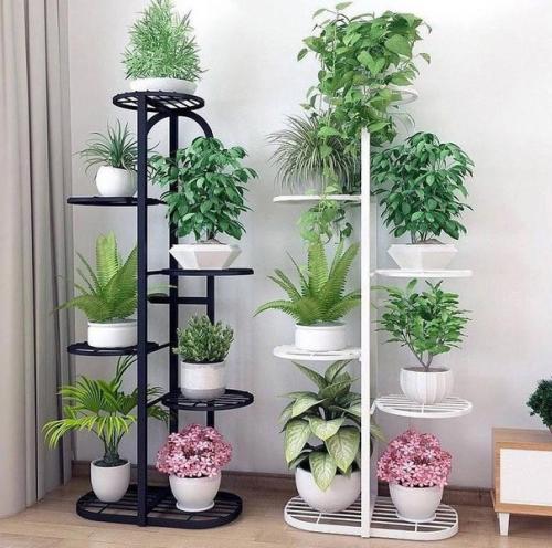 Когда в доме много цветов. 04