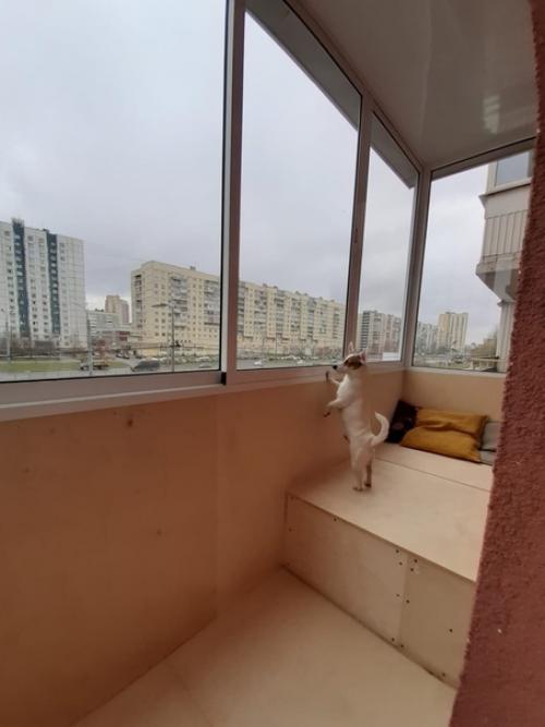 От подписчика.  Bceм привет! 08