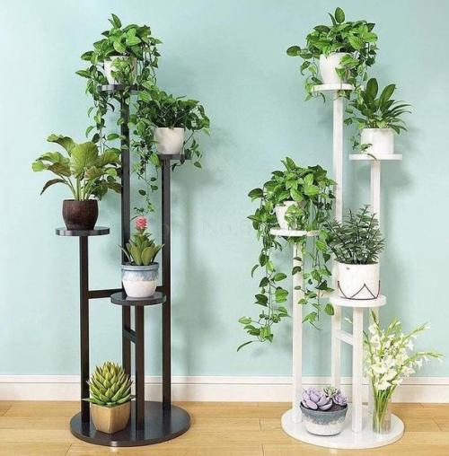 Когда в доме много цветов.