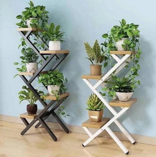 Когда в доме много цветов. 03