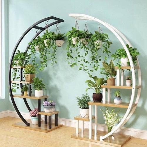 Когда в доме много цветов. 02