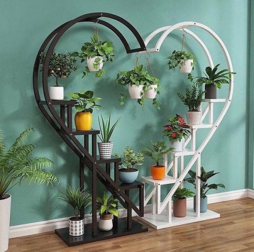 Когда в доме много цветов. 01