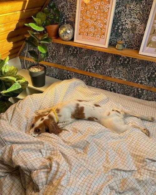 Мансардная спальня с атмосферой уюта и тишины. 02