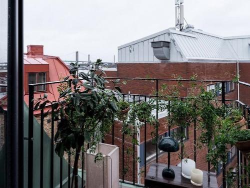 Маленькая, но очень интересная квартира. 06