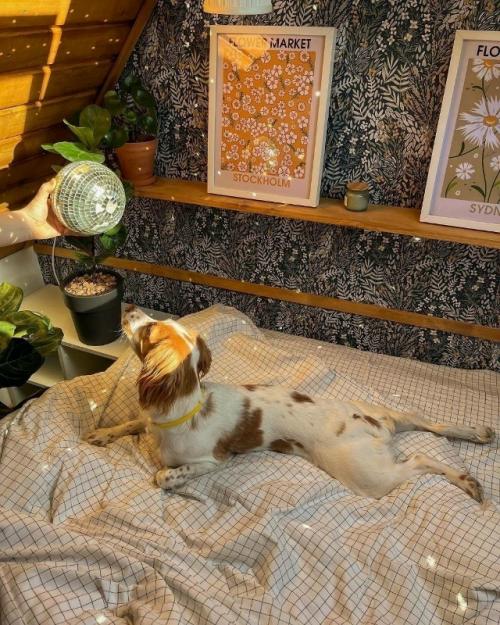 Мансардная спальня с атмосферой уюта и тишины. 03