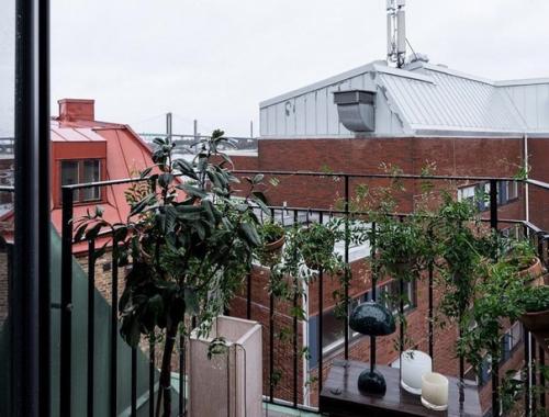 Маленькая, но очень интересная квартира.