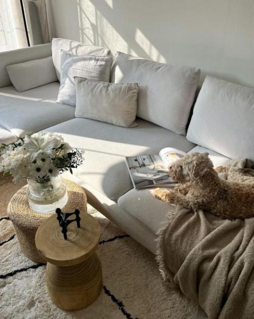 Кухня и гостиная с очень. 02