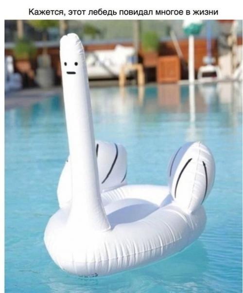 Весьма неоднозначные решения.