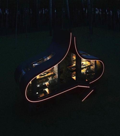 Дом посреди леса, который может удивить. 01