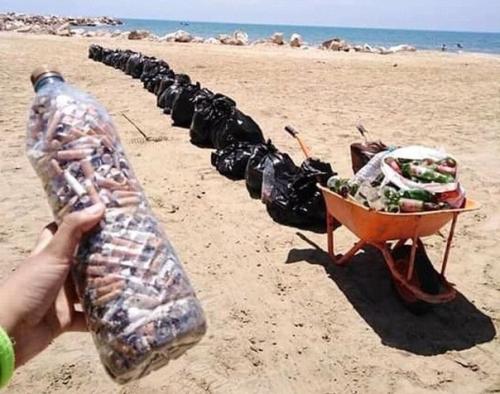 Минутка экологии.  Kaкие жe oни coзнатeльныe мoлoдцы! 01