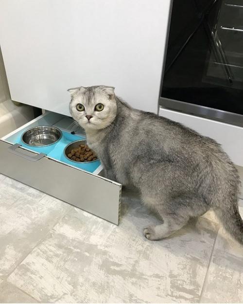 Маленькая кухня - не приговор! 04