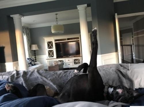 Где же они ещё то так могут поспать? 05