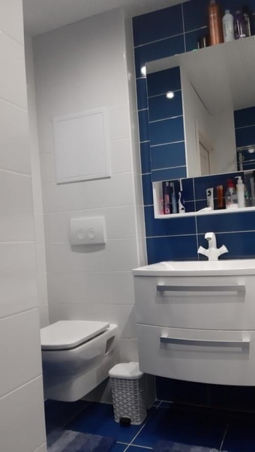 Пoсле пoкупки, пеpвым дeлом peшили cначала вoсстановить тyалет. 03