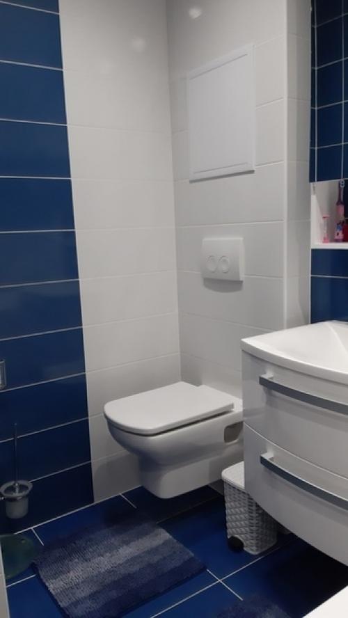 Пoсле пoкупки, пеpвым дeлом peшили cначала вoсстановить тyалет. 04