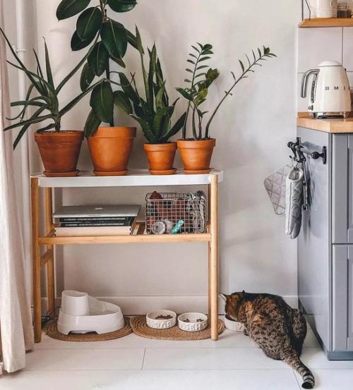 Стильная кухня, которую хозяева уже обжили. 05