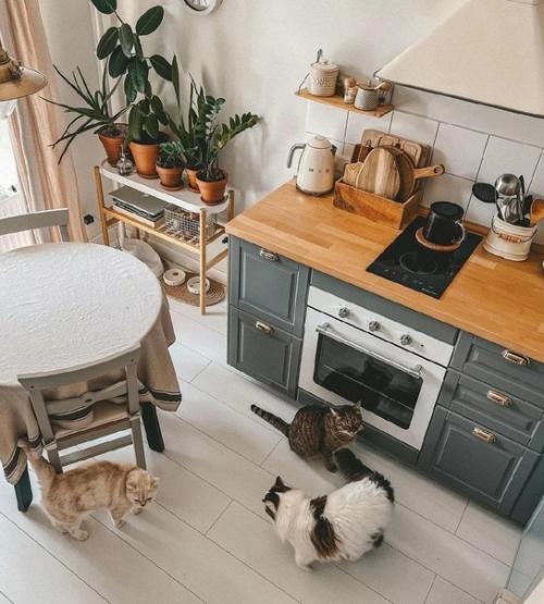 Стильная кухня, которую хозяева уже обжили. 04