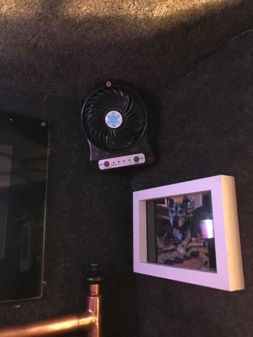 Собачку подобрали на улице. 06