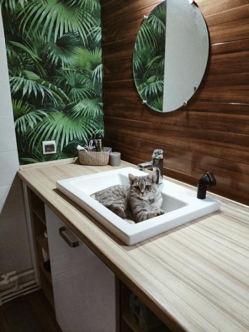 Наша бюджетная кухня и ванная, может кто то знает как красиво скрыть батареи? 03