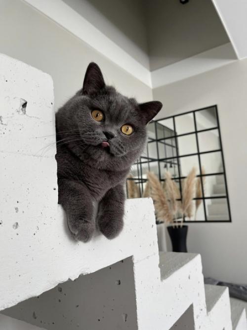 Результат самостоятельной работы подписчиков. 04