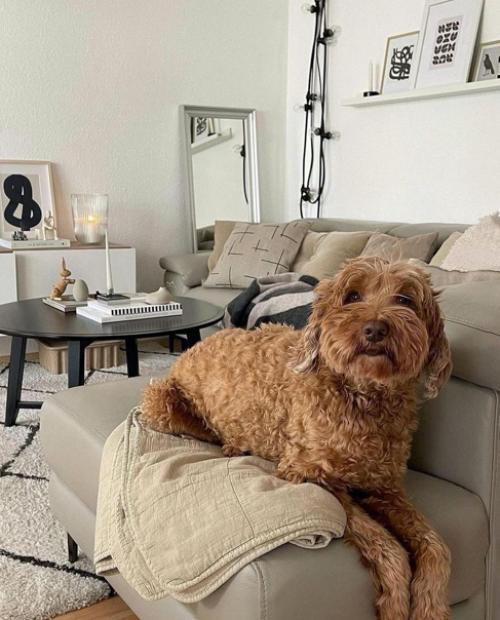 Очень простые мебель и цвет стен. 03